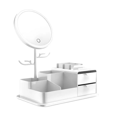 LED Vanity Makeup Mirror with Storage, Rotating Makeup Mirror, USB Rechargeable Desktop Organiser - Silk Rolla